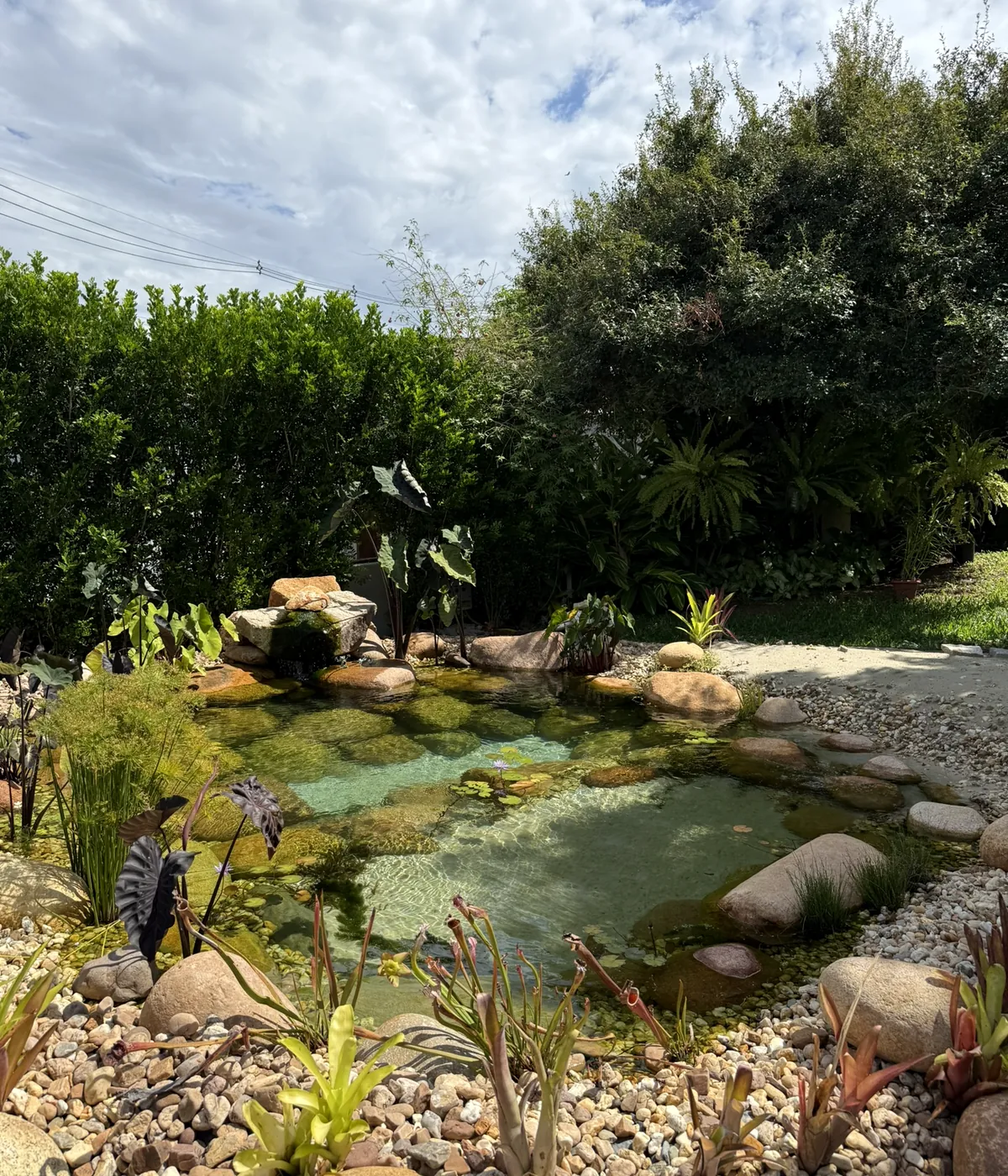 Lago ornamental residencial integrado ao jardim